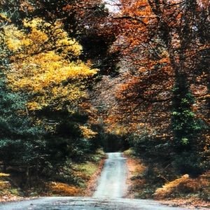 Meet your Posher, Herbert